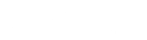 Holden Beach Turtle Watch Program - Shop & Donate